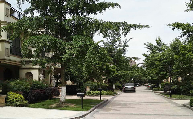 成都国色天乡鹭湖宫水地暖安装案例