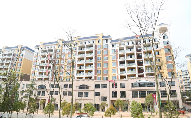 资阳文博园明装暖气片采暖案例